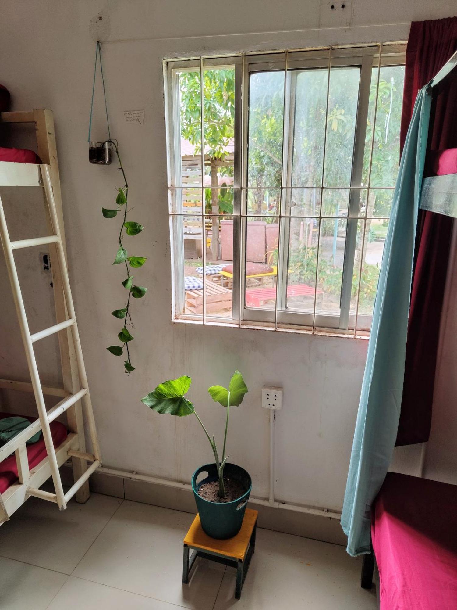 The Bear Bungalow Kampot Extérieur photo